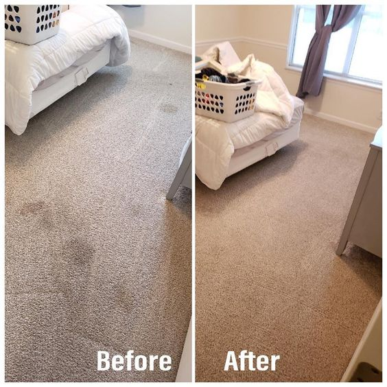 Carpet cleaning: Tips and hacks to make life easier