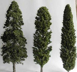 Cypress tree: Facts, description, growing and caring tips, and uses