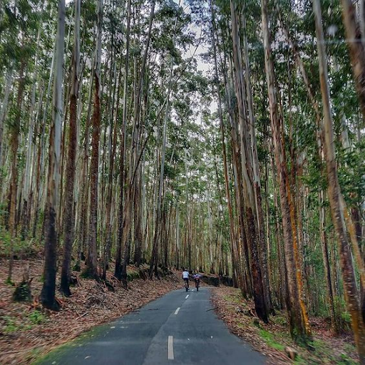 National Parks in Kerala