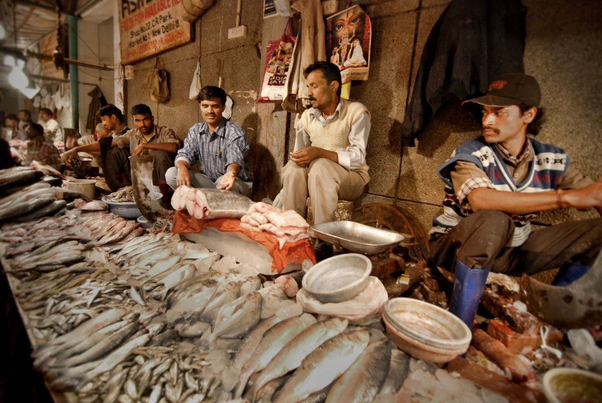 Fish market in Delhi Timings, location, pictures, and facts
