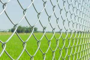 Colored Chain Link Fence Kit - Includes All Parts - Choice of Black, Brown,  or Green
