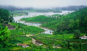 Resorts In Valparai: All You Need To Know