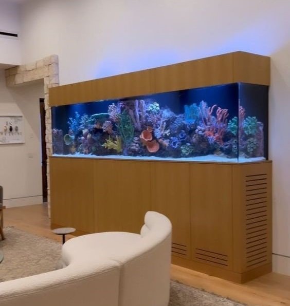 Create an Aquatic Oasis with a Small Aquarium Design for Your Living ...