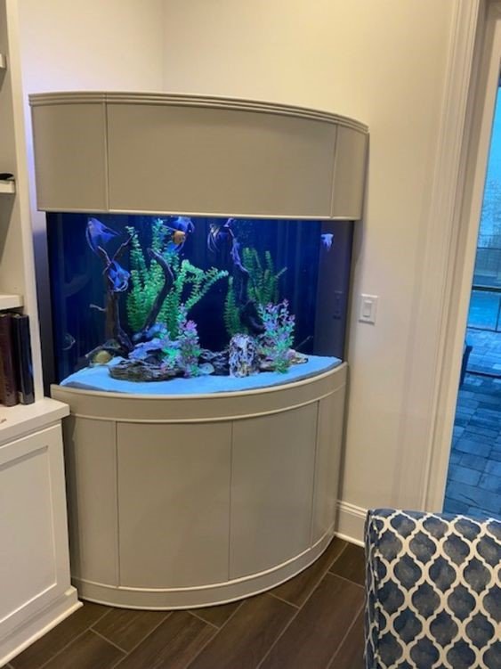 Fish Tank Decorations | Fish Tank Decoration Ideas | DiscusGuy