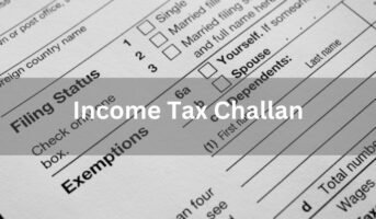 How to check income tax challan status?
