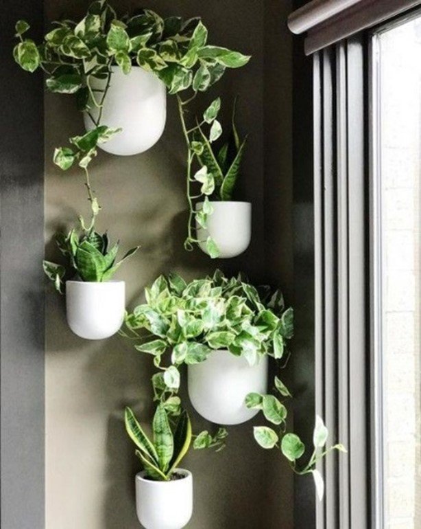 What are wall planters and how can you install them?