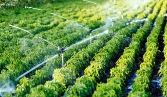 What are the sources of irrigation?