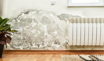 What causes dampness?