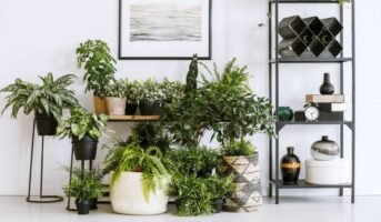 Indoor plant stand ideas to elevate your home’s decor