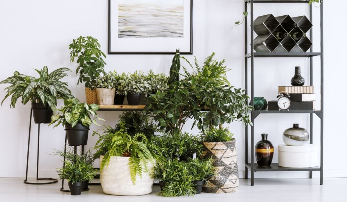 20 Unique DIY Plant Stand Ideas