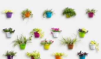 Wall planters for home: Benefits, design ideas and installation