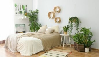 Indoor Plants for Bedroom Ideas for your Living Room