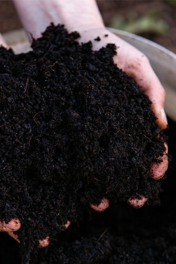 Black cotton soil: Properties, types, formation, and benefits