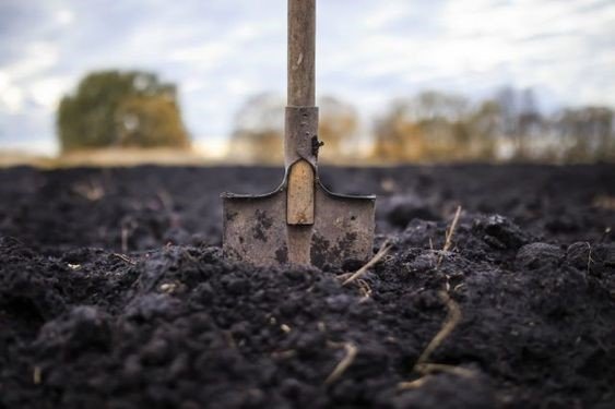 काली कपास मिट्टी: गुण, प्रकार, गठन और लाभ