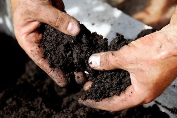 काली कपास मिट्टी: गुण, प्रकार, गठन और लाभ