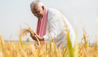DBT PM Kisan: What is it and how to register for this scheme?
