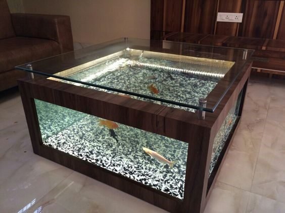 Modern fish tank ideas for home