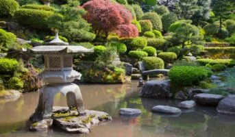 Japanese Garden: Types, How To Design And More
