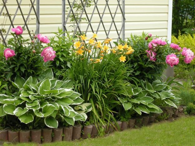 Idei de modele de grădină pentru a crea un peisaj natural în curtea ta