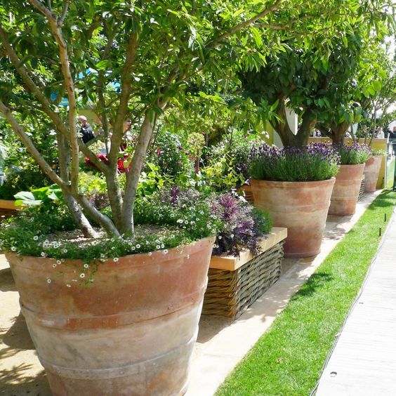 Low-maintenance small garden design ideas to consider