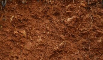 Soil classification: Types and purpose in construction