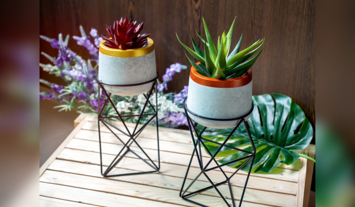Stand for planters Top design ideas to choose from.