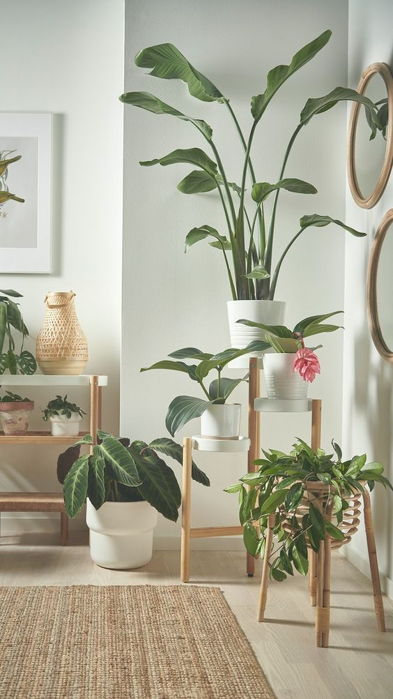 Tips to use artificial plants for decoration