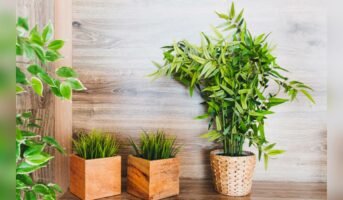 Artificial Plants for Living Room Corner