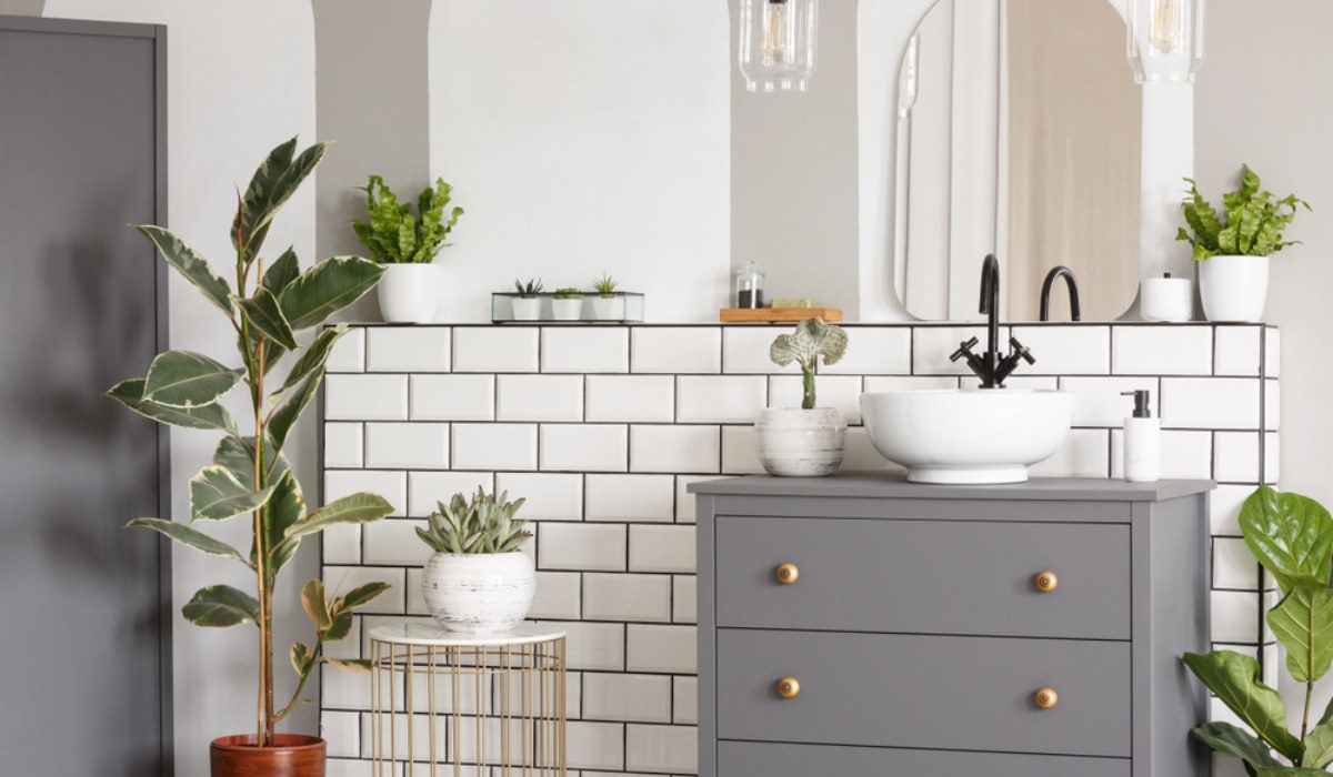 Ideas for bathroom décor on a budget