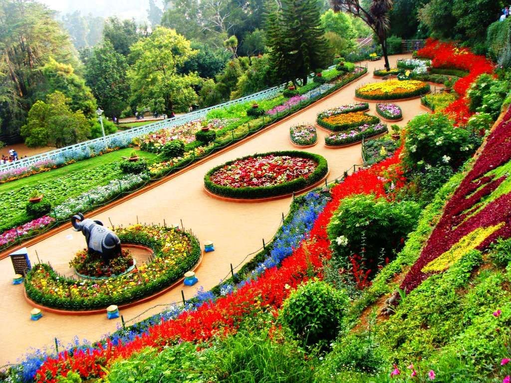 rose garden ooty best time to visit