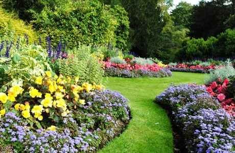 Rose Garden Ooty: Key attractions, timing, entry fee