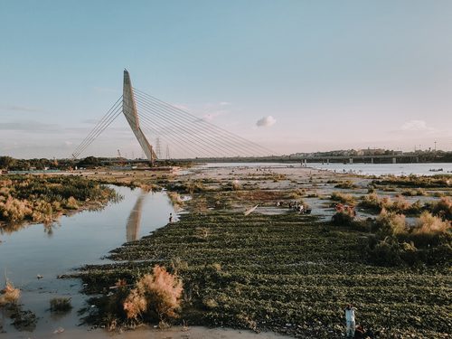 Signature Bridge Wazirabad, Delhi: fapte cheie