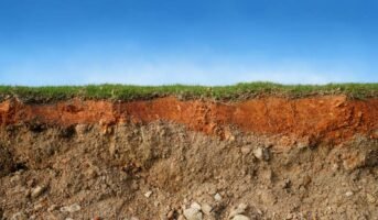 Soil Formation: Process, Factors and Importance