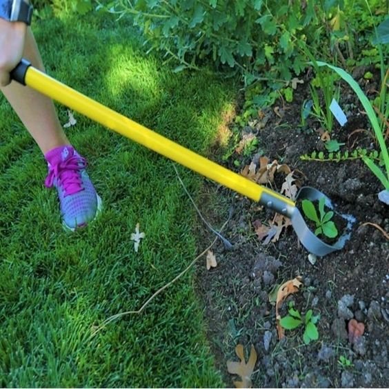 Summer landscaping tips