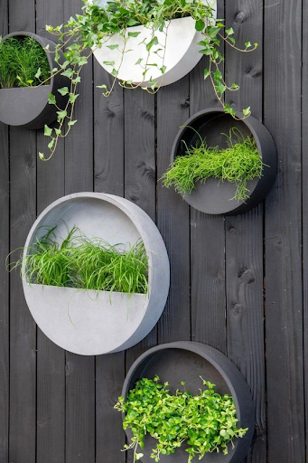 Wall planters for home