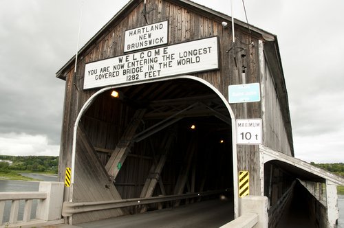 Wooden Bridge: Types, Uses, Benefits, and 20+ Photos