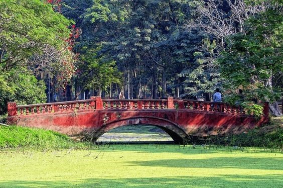 Acharya Jagadish Chandra Bose Indian Botanical Garden: Fact guide