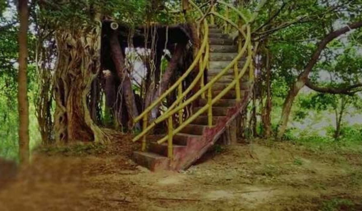 Kandlakoya Oxygen Park Hyderabad Fact guide