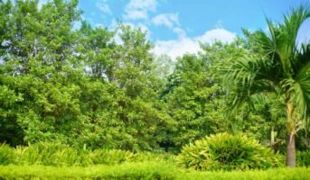 What makes Botanical Garden Hyderabad special?
