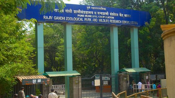 Visitor’s guide to Rajiv Gandhi Zoological Park Pune