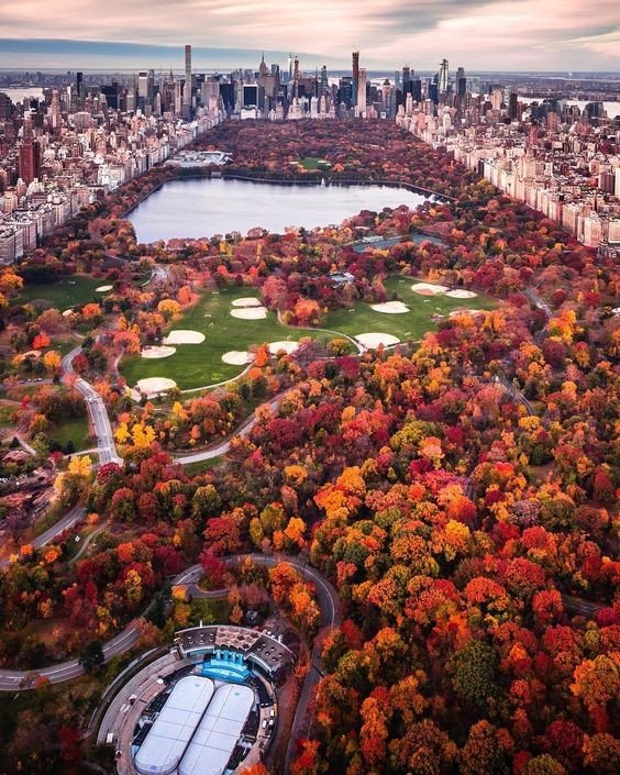 What are the top attractions of the New York Central Park?