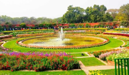 Mughal Garden Delhi: Location, timing, activities