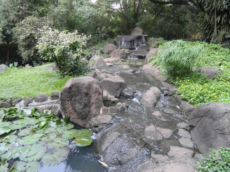 Osho Garden Pune Attractions Timings