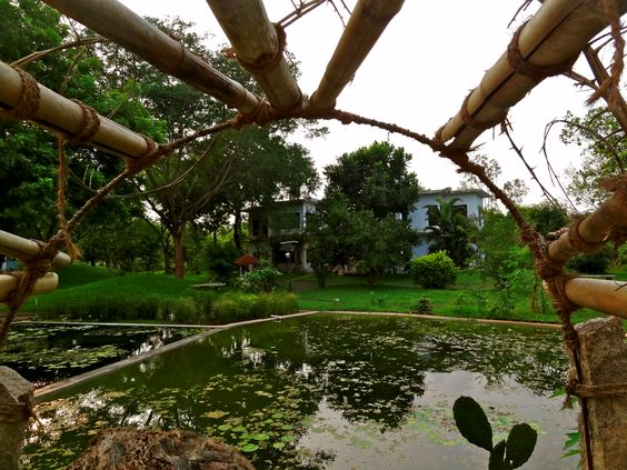 Why should you visit Buddha Garden Auroville ?