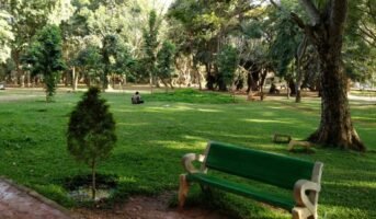 Coles Park Bangalore: Attractions, Timings, and Entry Fee
