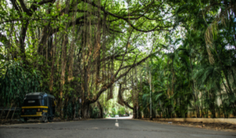 What are the things to explore in Koregaon Park Pune?