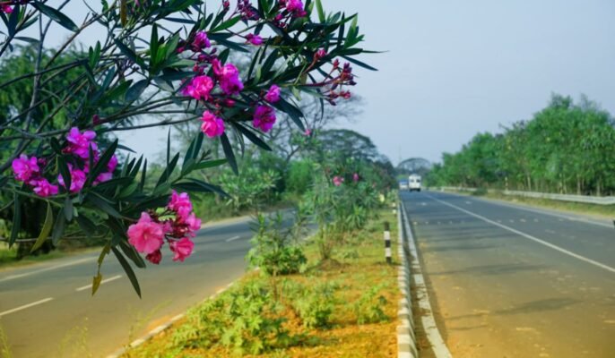NH544: Route and places to visit