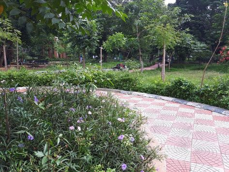 Panagal Park Chennai: Visitor’s guide