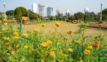 What are the top attractions of Hanging Garden Mumbai?