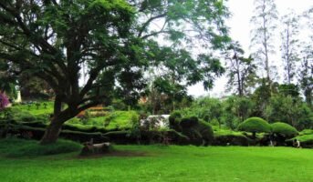 Why is Bryant Park Kodaikanal popular among nature lovers?